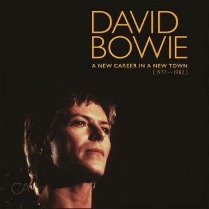David Bowie Vinyl Records Box Set